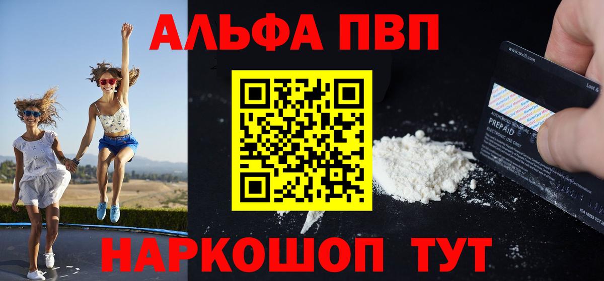 Alfa_PVP СК КРИС Гудермес
