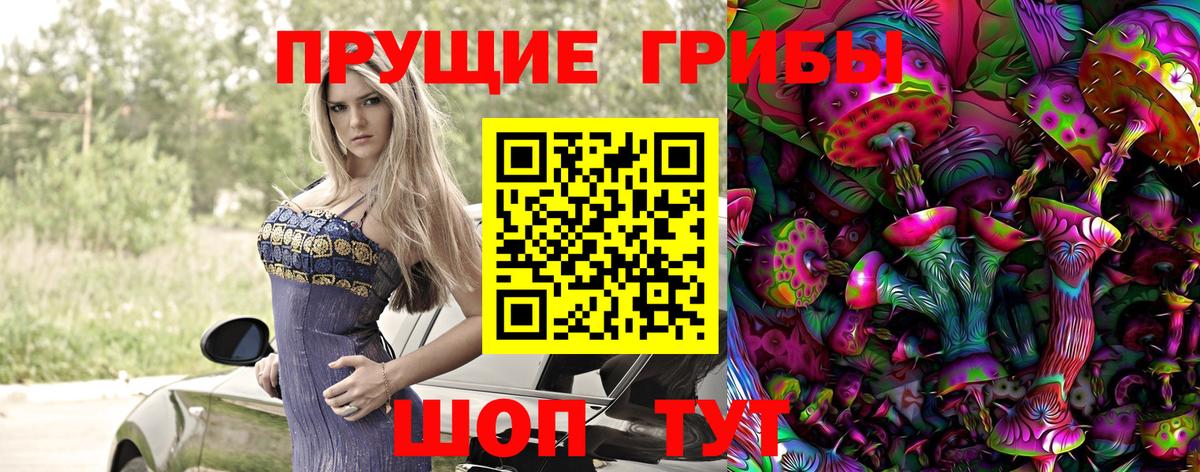Галлюциногенные грибы Psilocybine cubensis  Вход с VPN  цены   Гудермес 